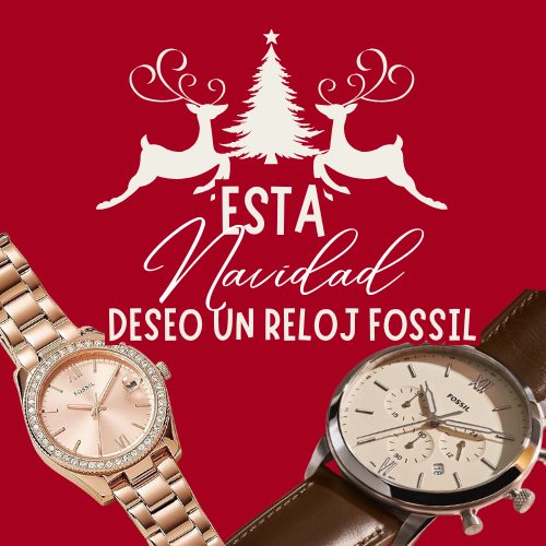 COLECCION RELOJES FOSSIL PARA DAMA Y CABALLERO