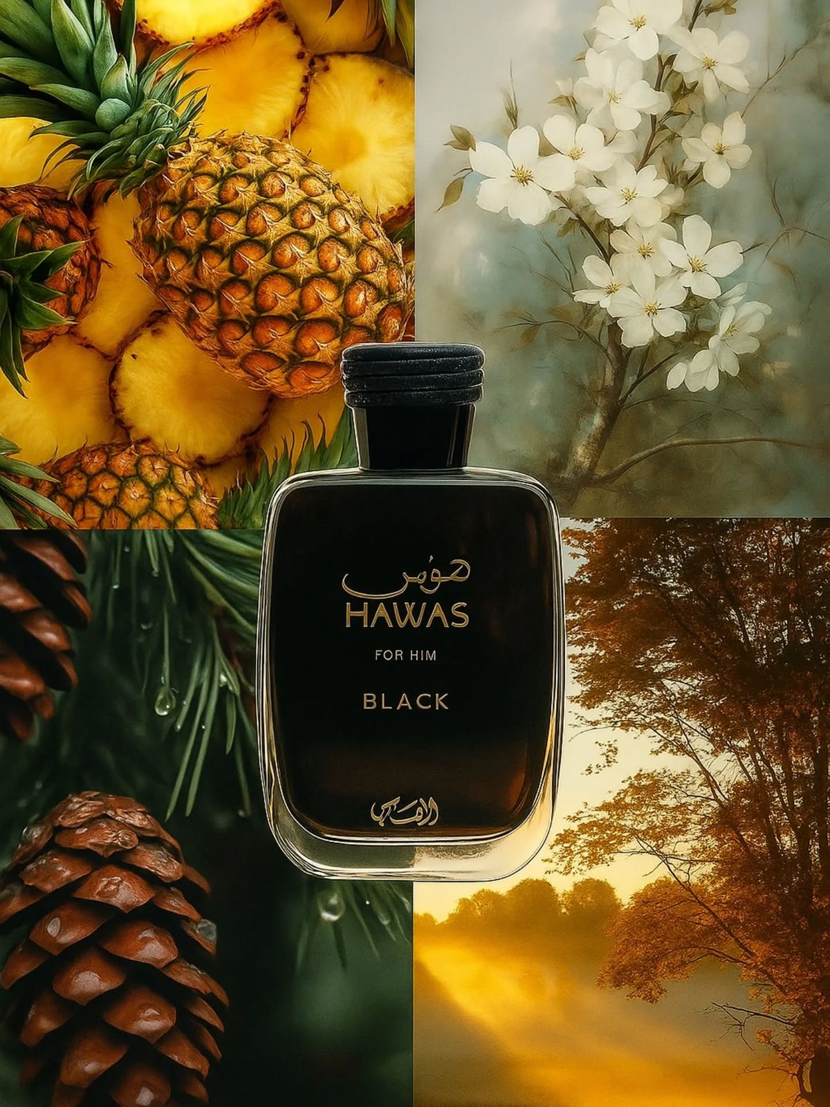 RASASI - HAWAS BLACK  100ML EDP - HOMBRE